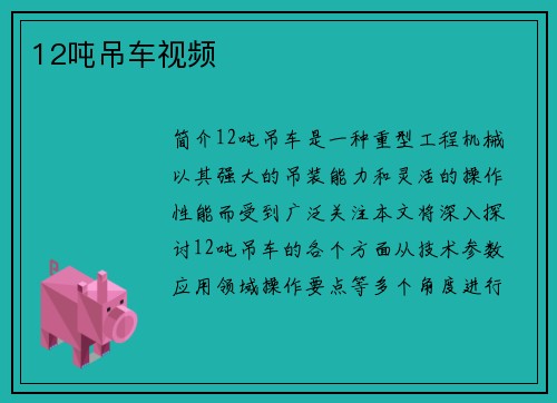 12吨吊车视频
