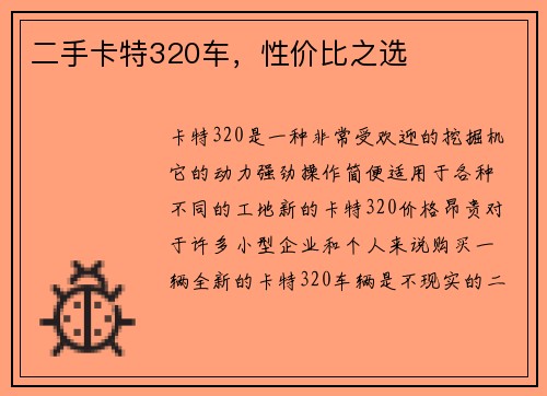 二手卡特320车，性价比之选