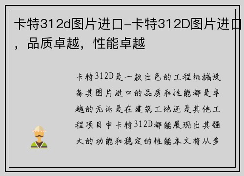 卡特312d图片进口-卡特312D图片进口，品质卓越，性能卓越
